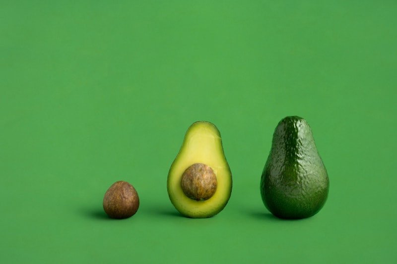 Uma imagem de um caroço de abacate, metade do abacate e um abacate inteiro como ilustração de uma breve e criativa campanha.