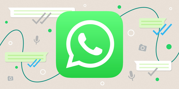 Whatsapp Business Como Usar