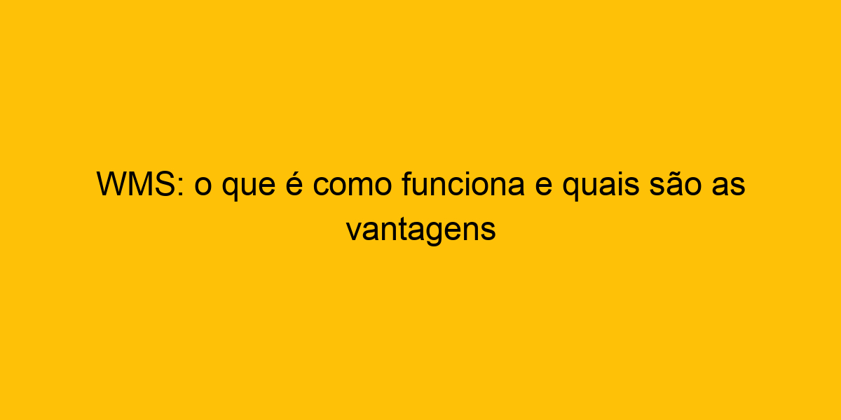 Wms O Que Como Funciona E Quais S O As Vantagens